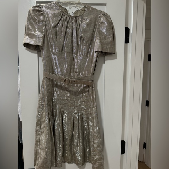 Anna Sui silvery Metallic Linen Blend Dress size 0 - Picture 2 of 12